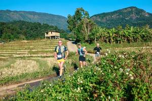 BIB: 
                            <button type="button" onclick="openModal(26713421)" class="btn btn-primary btn-sm float-right btn-popup" data-toggle="modal" data-target=".modal-high-quality">
                        <i class="fas fa-shopping-cart"></i> Add to Cart
                    </button>
                                            <button type="button" onclick="isThisMe(26713421, true)" class="btn btn-success btn-sm float-right btn-popup btn-isme hidden" data-toggle="tooltip" data-placement="bottom" title="นี่คือรูปของคุณใช่ไหม คลิกที่นี่เพื่อเอาเข้าอัลบั้ม">
                        <i class="fas fa-plus"></i> Add to album
                    </button>
                    <button type="button" onclick="isThisMe(26713421, false)" class="btn btn-warning btn-sm float-right btn-popup btn-isnotme hidden">
                        <i class="fas fa-ban"></i> Remove from album
                    </button>