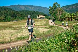 BIB: 
                            <button type="button" onclick="openModal(26714152)" class="btn btn-primary btn-sm float-right btn-popup" data-toggle="modal" data-target=".modal-high-quality">
                        <i class="fas fa-shopping-cart"></i> Add to Cart
                    </button>
                                            <button type="button" onclick="isThisMe(26714152, true)" class="btn btn-success btn-sm float-right btn-popup btn-isme hidden" data-toggle="tooltip" data-placement="bottom" title="นี่คือรูปของคุณใช่ไหม คลิกที่นี่เพื่อเอาเข้าอัลบั้ม">
                        <i class="fas fa-plus"></i> Add to album
                    </button>
                    <button type="button" onclick="isThisMe(26714152, false)" class="btn btn-warning btn-sm float-right btn-popup btn-isnotme hidden">
                        <i class="fas fa-ban"></i> Remove from album
                    </button>