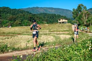 BIB: 
                            <button type="button" onclick="openModal(26714833)" class="btn btn-primary btn-sm float-right btn-popup" data-toggle="modal" data-target=".modal-high-quality">
                        <i class="fas fa-shopping-cart"></i> Add to Cart
                    </button>
                                            <button type="button" onclick="isThisMe(26714833, true)" class="btn btn-success btn-sm float-right btn-popup btn-isme hidden" data-toggle="tooltip" data-placement="bottom" title="นี่คือรูปของคุณใช่ไหม คลิกที่นี่เพื่อเอาเข้าอัลบั้ม">
                        <i class="fas fa-plus"></i> Add to album
                    </button>
                    <button type="button" onclick="isThisMe(26714833, false)" class="btn btn-warning btn-sm float-right btn-popup btn-isnotme hidden">
                        <i class="fas fa-ban"></i> Remove from album
                    </button>