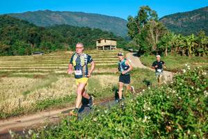 BIB: 
                            <button type="button" onclick="openModal(26713431)" class="btn btn-primary btn-sm float-right btn-popup" data-toggle="modal" data-target=".modal-high-quality">
                        <i class="fas fa-shopping-cart"></i> Add to Cart
                    </button>
                                            <button type="button" onclick="isThisMe(26713431, true)" class="btn btn-success btn-sm float-right btn-popup btn-isme hidden" data-toggle="tooltip" data-placement="bottom" title="นี่คือรูปของคุณใช่ไหม คลิกที่นี่เพื่อเอาเข้าอัลบั้ม">
                        <i class="fas fa-plus"></i> Add to album
                    </button>
                    <button type="button" onclick="isThisMe(26713431, false)" class="btn btn-warning btn-sm float-right btn-popup btn-isnotme hidden">
                        <i class="fas fa-ban"></i> Remove from album
                    </button>