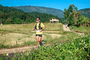 BIB: 
                            <button type="button" onclick="openModal(26714441)" class="btn btn-primary btn-sm float-right btn-popup" data-toggle="modal" data-target=".modal-high-quality">
                        <i class="fas fa-shopping-cart"></i> Add to Cart
                    </button>
                                            <button type="button" onclick="isThisMe(26714441, true)" class="btn btn-success btn-sm float-right btn-popup btn-isme hidden" data-toggle="tooltip" data-placement="bottom" title="นี่คือรูปของคุณใช่ไหม คลิกที่นี่เพื่อเอาเข้าอัลบั้ม">
                        <i class="fas fa-plus"></i> Add to album
                    </button>
                    <button type="button" onclick="isThisMe(26714441, false)" class="btn btn-warning btn-sm float-right btn-popup btn-isnotme hidden">
                        <i class="fas fa-ban"></i> Remove from album
                    </button>