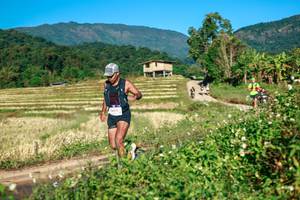 BIB: 
                            <button type="button" onclick="openModal(26714092)" class="btn btn-primary btn-sm float-right btn-popup" data-toggle="modal" data-target=".modal-high-quality">
                        <i class="fas fa-shopping-cart"></i> Add to Cart
                    </button>
                                            <button type="button" onclick="isThisMe(26714092, true)" class="btn btn-success btn-sm float-right btn-popup btn-isme hidden" data-toggle="tooltip" data-placement="bottom" title="นี่คือรูปของคุณใช่ไหม คลิกที่นี่เพื่อเอาเข้าอัลบั้ม">
                        <i class="fas fa-plus"></i> Add to album
                    </button>
                    <button type="button" onclick="isThisMe(26714092, false)" class="btn btn-warning btn-sm float-right btn-popup btn-isnotme hidden">
                        <i class="fas fa-ban"></i> Remove from album
                    </button>