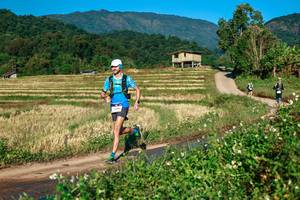 BIB: 
                            <button type="button" onclick="openModal(26713524)" class="btn btn-primary btn-sm float-right btn-popup" data-toggle="modal" data-target=".modal-high-quality">
                        <i class="fas fa-shopping-cart"></i> Add to Cart
                    </button>
                                            <button type="button" onclick="isThisMe(26713524, true)" class="btn btn-success btn-sm float-right btn-popup btn-isme hidden" data-toggle="tooltip" data-placement="bottom" title="นี่คือรูปของคุณใช่ไหม คลิกที่นี่เพื่อเอาเข้าอัลบั้ม">
                        <i class="fas fa-plus"></i> Add to album
                    </button>
                    <button type="button" onclick="isThisMe(26713524, false)" class="btn btn-warning btn-sm float-right btn-popup btn-isnotme hidden">
                        <i class="fas fa-ban"></i> Remove from album
                    </button>