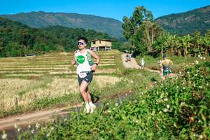 BIB: 
                            <button type="button" onclick="openModal(26714181)" class="btn btn-primary btn-sm float-right btn-popup" data-toggle="modal" data-target=".modal-high-quality">
                        <i class="fas fa-shopping-cart"></i> Add to Cart
                    </button>
                                            <button type="button" onclick="isThisMe(26714181, true)" class="btn btn-success btn-sm float-right btn-popup btn-isme hidden" data-toggle="tooltip" data-placement="bottom" title="นี่คือรูปของคุณใช่ไหม คลิกที่นี่เพื่อเอาเข้าอัลบั้ม">
                        <i class="fas fa-plus"></i> Add to album
                    </button>
                    <button type="button" onclick="isThisMe(26714181, false)" class="btn btn-warning btn-sm float-right btn-popup btn-isnotme hidden">
                        <i class="fas fa-ban"></i> Remove from album
                    </button>