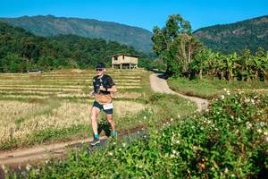 BIB: 
                            <button type="button" onclick="openModal(26713292)" class="btn btn-primary btn-sm float-right btn-popup" data-toggle="modal" data-target=".modal-high-quality">
                        <i class="fas fa-shopping-cart"></i> Add to Cart
                    </button>
                                            <button type="button" onclick="isThisMe(26713292, true)" class="btn btn-success btn-sm float-right btn-popup btn-isme hidden" data-toggle="tooltip" data-placement="bottom" title="นี่คือรูปของคุณใช่ไหม คลิกที่นี่เพื่อเอาเข้าอัลบั้ม">
                        <i class="fas fa-plus"></i> Add to album
                    </button>
                    <button type="button" onclick="isThisMe(26713292, false)" class="btn btn-warning btn-sm float-right btn-popup btn-isnotme hidden">
                        <i class="fas fa-ban"></i> Remove from album
                    </button>