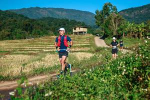 BIB: 
                            <button type="button" onclick="openModal(26713619)" class="btn btn-primary btn-sm float-right btn-popup" data-toggle="modal" data-target=".modal-high-quality">
                        <i class="fas fa-shopping-cart"></i> Add to Cart
                    </button>
                                            <button type="button" onclick="isThisMe(26713619, true)" class="btn btn-success btn-sm float-right btn-popup btn-isme hidden" data-toggle="tooltip" data-placement="bottom" title="นี่คือรูปของคุณใช่ไหม คลิกที่นี่เพื่อเอาเข้าอัลบั้ม">
                        <i class="fas fa-plus"></i> Add to album
                    </button>
                    <button type="button" onclick="isThisMe(26713619, false)" class="btn btn-warning btn-sm float-right btn-popup btn-isnotme hidden">
                        <i class="fas fa-ban"></i> Remove from album
                    </button>