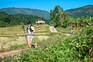 BIB: 
                            <button type="button" onclick="openModal(26718335)" class="btn btn-primary btn-sm float-right btn-popup" data-toggle="modal" data-target=".modal-high-quality">
                        <i class="fas fa-shopping-cart"></i> Add to Cart
                    </button>
                                            <button type="button" onclick="isThisMe(26718335, true)" class="btn btn-success btn-sm float-right btn-popup btn-isme hidden" data-toggle="tooltip" data-placement="bottom" title="นี่คือรูปของคุณใช่ไหม คลิกที่นี่เพื่อเอาเข้าอัลบั้ม">
                        <i class="fas fa-plus"></i> Add to album
                    </button>
                    <button type="button" onclick="isThisMe(26718335, false)" class="btn btn-warning btn-sm float-right btn-popup btn-isnotme hidden">
                        <i class="fas fa-ban"></i> Remove from album
                    </button>