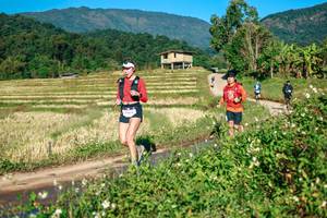 BIB: 
                            <button type="button" onclick="openModal(26716796)" class="btn btn-primary btn-sm float-right btn-popup" data-toggle="modal" data-target=".modal-high-quality">
                        <i class="fas fa-shopping-cart"></i> Add to Cart
                    </button>
                                            <button type="button" onclick="isThisMe(26716796, true)" class="btn btn-success btn-sm float-right btn-popup btn-isme hidden" data-toggle="tooltip" data-placement="bottom" title="นี่คือรูปของคุณใช่ไหม คลิกที่นี่เพื่อเอาเข้าอัลบั้ม">
                        <i class="fas fa-plus"></i> Add to album
                    </button>
                    <button type="button" onclick="isThisMe(26716796, false)" class="btn btn-warning btn-sm float-right btn-popup btn-isnotme hidden">
                        <i class="fas fa-ban"></i> Remove from album
                    </button>