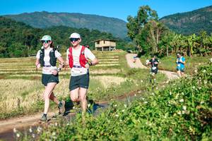 BIB: 
                            <button type="button" onclick="openModal(26719107)" class="btn btn-primary btn-sm float-right btn-popup" data-toggle="modal" data-target=".modal-high-quality">
                        <i class="fas fa-shopping-cart"></i> Add to Cart
                    </button>
                                            <button type="button" onclick="isThisMe(26719107, true)" class="btn btn-success btn-sm float-right btn-popup btn-isme hidden" data-toggle="tooltip" data-placement="bottom" title="นี่คือรูปของคุณใช่ไหม คลิกที่นี่เพื่อเอาเข้าอัลบั้ม">
                        <i class="fas fa-plus"></i> Add to album
                    </button>
                    <button type="button" onclick="isThisMe(26719107, false)" class="btn btn-warning btn-sm float-right btn-popup btn-isnotme hidden">
                        <i class="fas fa-ban"></i> Remove from album
                    </button>