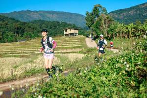 BIB: 
                            <button type="button" onclick="openModal(26718581)" class="btn btn-primary btn-sm float-right btn-popup" data-toggle="modal" data-target=".modal-high-quality">
                        <i class="fas fa-shopping-cart"></i> Add to Cart
                    </button>
                                            <button type="button" onclick="isThisMe(26718581, true)" class="btn btn-success btn-sm float-right btn-popup btn-isme hidden" data-toggle="tooltip" data-placement="bottom" title="นี่คือรูปของคุณใช่ไหม คลิกที่นี่เพื่อเอาเข้าอัลบั้ม">
                        <i class="fas fa-plus"></i> Add to album
                    </button>
                    <button type="button" onclick="isThisMe(26718581, false)" class="btn btn-warning btn-sm float-right btn-popup btn-isnotme hidden">
                        <i class="fas fa-ban"></i> Remove from album
                    </button>