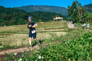 BIB: 
                            <button type="button" onclick="openModal(26719955)" class="btn btn-primary btn-sm float-right btn-popup" data-toggle="modal" data-target=".modal-high-quality">
                        <i class="fas fa-shopping-cart"></i> Add to Cart
                    </button>
                                            <button type="button" onclick="isThisMe(26719955, true)" class="btn btn-success btn-sm float-right btn-popup btn-isme hidden" data-toggle="tooltip" data-placement="bottom" title="นี่คือรูปของคุณใช่ไหม คลิกที่นี่เพื่อเอาเข้าอัลบั้ม">
                        <i class="fas fa-plus"></i> Add to album
                    </button>
                    <button type="button" onclick="isThisMe(26719955, false)" class="btn btn-warning btn-sm float-right btn-popup btn-isnotme hidden">
                        <i class="fas fa-ban"></i> Remove from album
                    </button>