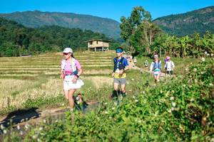 BIB: 
                            <button type="button" onclick="openModal(26719281)" class="btn btn-primary btn-sm float-right btn-popup" data-toggle="modal" data-target=".modal-high-quality">
                        <i class="fas fa-shopping-cart"></i> Add to Cart
                    </button>
                                            <button type="button" onclick="isThisMe(26719281, true)" class="btn btn-success btn-sm float-right btn-popup btn-isme hidden" data-toggle="tooltip" data-placement="bottom" title="นี่คือรูปของคุณใช่ไหม คลิกที่นี่เพื่อเอาเข้าอัลบั้ม">
                        <i class="fas fa-plus"></i> Add to album
                    </button>
                    <button type="button" onclick="isThisMe(26719281, false)" class="btn btn-warning btn-sm float-right btn-popup btn-isnotme hidden">
                        <i class="fas fa-ban"></i> Remove from album
                    </button>