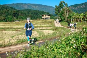 BIB: 
                            <button type="button" onclick="openModal(26718686)" class="btn btn-primary btn-sm float-right btn-popup" data-toggle="modal" data-target=".modal-high-quality">
                        <i class="fas fa-shopping-cart"></i> Add to Cart
                    </button>
                                            <button type="button" onclick="isThisMe(26718686, true)" class="btn btn-success btn-sm float-right btn-popup btn-isme hidden" data-toggle="tooltip" data-placement="bottom" title="นี่คือรูปของคุณใช่ไหม คลิกที่นี่เพื่อเอาเข้าอัลบั้ม">
                        <i class="fas fa-plus"></i> Add to album
                    </button>
                    <button type="button" onclick="isThisMe(26718686, false)" class="btn btn-warning btn-sm float-right btn-popup btn-isnotme hidden">
                        <i class="fas fa-ban"></i> Remove from album
                    </button>