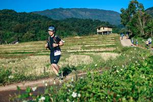 BIB: 
                            <button type="button" onclick="openModal(26719966)" class="btn btn-primary btn-sm float-right btn-popup" data-toggle="modal" data-target=".modal-high-quality">
                        <i class="fas fa-shopping-cart"></i> Add to Cart
                    </button>
                                            <button type="button" onclick="isThisMe(26719966, true)" class="btn btn-success btn-sm float-right btn-popup btn-isme hidden" data-toggle="tooltip" data-placement="bottom" title="นี่คือรูปของคุณใช่ไหม คลิกที่นี่เพื่อเอาเข้าอัลบั้ม">
                        <i class="fas fa-plus"></i> Add to album
                    </button>
                    <button type="button" onclick="isThisMe(26719966, false)" class="btn btn-warning btn-sm float-right btn-popup btn-isnotme hidden">
                        <i class="fas fa-ban"></i> Remove from album
                    </button>