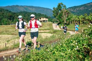 BIB: 
                            <button type="button" onclick="openModal(26719100)" class="btn btn-primary btn-sm float-right btn-popup" data-toggle="modal" data-target=".modal-high-quality">
                        <i class="fas fa-shopping-cart"></i> Add to Cart
                    </button>
                                            <button type="button" onclick="isThisMe(26719100, true)" class="btn btn-success btn-sm float-right btn-popup btn-isme hidden" data-toggle="tooltip" data-placement="bottom" title="นี่คือรูปของคุณใช่ไหม คลิกที่นี่เพื่อเอาเข้าอัลบั้ม">
                        <i class="fas fa-plus"></i> Add to album
                    </button>
                    <button type="button" onclick="isThisMe(26719100, false)" class="btn btn-warning btn-sm float-right btn-popup btn-isnotme hidden">
                        <i class="fas fa-ban"></i> Remove from album
                    </button>