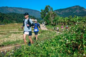 BIB: 
                            <button type="button" onclick="openModal(26719849)" class="btn btn-primary btn-sm float-right btn-popup" data-toggle="modal" data-target=".modal-high-quality">
                        <i class="fas fa-shopping-cart"></i> Add to Cart
                    </button>
                                            <button type="button" onclick="isThisMe(26719849, true)" class="btn btn-success btn-sm float-right btn-popup btn-isme hidden" data-toggle="tooltip" data-placement="bottom" title="นี่คือรูปของคุณใช่ไหม คลิกที่นี่เพื่อเอาเข้าอัลบั้ม">
                        <i class="fas fa-plus"></i> Add to album
                    </button>
                    <button type="button" onclick="isThisMe(26719849, false)" class="btn btn-warning btn-sm float-right btn-popup btn-isnotme hidden">
                        <i class="fas fa-ban"></i> Remove from album
                    </button>