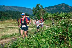 BIB: 
                            <button type="button" onclick="openModal(26719880)" class="btn btn-primary btn-sm float-right btn-popup" data-toggle="modal" data-target=".modal-high-quality">
                        <i class="fas fa-shopping-cart"></i> Add to Cart
                    </button>
                                            <button type="button" onclick="isThisMe(26719880, true)" class="btn btn-success btn-sm float-right btn-popup btn-isme hidden" data-toggle="tooltip" data-placement="bottom" title="นี่คือรูปของคุณใช่ไหม คลิกที่นี่เพื่อเอาเข้าอัลบั้ม">
                        <i class="fas fa-plus"></i> Add to album
                    </button>
                    <button type="button" onclick="isThisMe(26719880, false)" class="btn btn-warning btn-sm float-right btn-popup btn-isnotme hidden">
                        <i class="fas fa-ban"></i> Remove from album
                    </button>