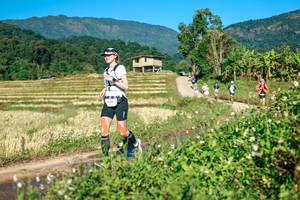 BIB: 
                            <button type="button" onclick="openModal(26719243)" class="btn btn-primary btn-sm float-right btn-popup" data-toggle="modal" data-target=".modal-high-quality">
                        <i class="fas fa-shopping-cart"></i> Add to Cart
                    </button>
                                            <button type="button" onclick="isThisMe(26719243, true)" class="btn btn-success btn-sm float-right btn-popup btn-isme hidden" data-toggle="tooltip" data-placement="bottom" title="นี่คือรูปของคุณใช่ไหม คลิกที่นี่เพื่อเอาเข้าอัลบั้ม">
                        <i class="fas fa-plus"></i> Add to album
                    </button>
                    <button type="button" onclick="isThisMe(26719243, false)" class="btn btn-warning btn-sm float-right btn-popup btn-isnotme hidden">
                        <i class="fas fa-ban"></i> Remove from album
                    </button>