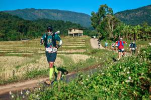 BIB: 
                            <button type="button" onclick="openModal(26719042)" class="btn btn-primary btn-sm float-right btn-popup" data-toggle="modal" data-target=".modal-high-quality">
                        <i class="fas fa-shopping-cart"></i> Add to Cart
                    </button>
                                            <button type="button" onclick="isThisMe(26719042, true)" class="btn btn-success btn-sm float-right btn-popup btn-isme hidden" data-toggle="tooltip" data-placement="bottom" title="นี่คือรูปของคุณใช่ไหม คลิกที่นี่เพื่อเอาเข้าอัลบั้ม">
                        <i class="fas fa-plus"></i> Add to album
                    </button>
                    <button type="button" onclick="isThisMe(26719042, false)" class="btn btn-warning btn-sm float-right btn-popup btn-isnotme hidden">
                        <i class="fas fa-ban"></i> Remove from album
                    </button>