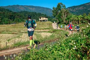 BIB: 
                            <button type="button" onclick="openModal(26719031)" class="btn btn-primary btn-sm float-right btn-popup" data-toggle="modal" data-target=".modal-high-quality">
                        <i class="fas fa-shopping-cart"></i> Add to Cart
                    </button>
                                            <button type="button" onclick="isThisMe(26719031, true)" class="btn btn-success btn-sm float-right btn-popup btn-isme hidden" data-toggle="tooltip" data-placement="bottom" title="นี่คือรูปของคุณใช่ไหม คลิกที่นี่เพื่อเอาเข้าอัลบั้ม">
                        <i class="fas fa-plus"></i> Add to album
                    </button>
                    <button type="button" onclick="isThisMe(26719031, false)" class="btn btn-warning btn-sm float-right btn-popup btn-isnotme hidden">
                        <i class="fas fa-ban"></i> Remove from album
                    </button>