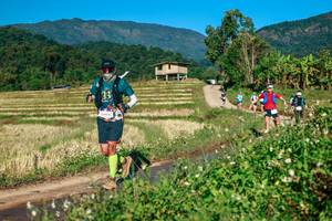 BIB: 
                            <button type="button" onclick="openModal(26719047)" class="btn btn-primary btn-sm float-right btn-popup" data-toggle="modal" data-target=".modal-high-quality">
                        <i class="fas fa-shopping-cart"></i> Add to Cart
                    </button>
                                            <button type="button" onclick="isThisMe(26719047, true)" class="btn btn-success btn-sm float-right btn-popup btn-isme hidden" data-toggle="tooltip" data-placement="bottom" title="นี่คือรูปของคุณใช่ไหม คลิกที่นี่เพื่อเอาเข้าอัลบั้ม">
                        <i class="fas fa-plus"></i> Add to album
                    </button>
                    <button type="button" onclick="isThisMe(26719047, false)" class="btn btn-warning btn-sm float-right btn-popup btn-isnotme hidden">
                        <i class="fas fa-ban"></i> Remove from album
                    </button>