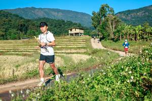 BIB: 
                            <button type="button" onclick="openModal(26719146)" class="btn btn-primary btn-sm float-right btn-popup" data-toggle="modal" data-target=".modal-high-quality">
                        <i class="fas fa-shopping-cart"></i> Add to Cart
                    </button>
                                            <button type="button" onclick="isThisMe(26719146, true)" class="btn btn-success btn-sm float-right btn-popup btn-isme hidden" data-toggle="tooltip" data-placement="bottom" title="นี่คือรูปของคุณใช่ไหม คลิกที่นี่เพื่อเอาเข้าอัลบั้ม">
                        <i class="fas fa-plus"></i> Add to album
                    </button>
                    <button type="button" onclick="isThisMe(26719146, false)" class="btn btn-warning btn-sm float-right btn-popup btn-isnotme hidden">
                        <i class="fas fa-ban"></i> Remove from album
                    </button>