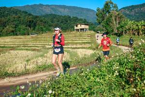 BIB: 
                            <button type="button" onclick="openModal(26716789)" class="btn btn-primary btn-sm float-right btn-popup" data-toggle="modal" data-target=".modal-high-quality">
                        <i class="fas fa-shopping-cart"></i> Add to Cart
                    </button>
                                            <button type="button" onclick="isThisMe(26716789, true)" class="btn btn-success btn-sm float-right btn-popup btn-isme hidden" data-toggle="tooltip" data-placement="bottom" title="นี่คือรูปของคุณใช่ไหม คลิกที่นี่เพื่อเอาเข้าอัลบั้ม">
                        <i class="fas fa-plus"></i> Add to album
                    </button>
                    <button type="button" onclick="isThisMe(26716789, false)" class="btn btn-warning btn-sm float-right btn-popup btn-isnotme hidden">
                        <i class="fas fa-ban"></i> Remove from album
                    </button>