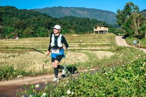 BIB: 
                            <button type="button" onclick="openModal(26717314)" class="btn btn-primary btn-sm float-right btn-popup" data-toggle="modal" data-target=".modal-high-quality">
                        <i class="fas fa-shopping-cart"></i> Add to Cart
                    </button>
                                            <button type="button" onclick="isThisMe(26717314, true)" class="btn btn-success btn-sm float-right btn-popup btn-isme hidden" data-toggle="tooltip" data-placement="bottom" title="นี่คือรูปของคุณใช่ไหม คลิกที่นี่เพื่อเอาเข้าอัลบั้ม">
                        <i class="fas fa-plus"></i> Add to album
                    </button>
                    <button type="button" onclick="isThisMe(26717314, false)" class="btn btn-warning btn-sm float-right btn-popup btn-isnotme hidden">
                        <i class="fas fa-ban"></i> Remove from album
                    </button>