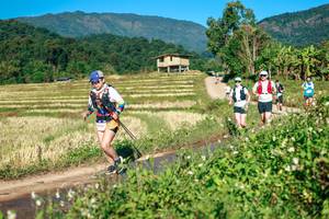 BIB: 
                            <button type="button" onclick="openModal(26719092)" class="btn btn-primary btn-sm float-right btn-popup" data-toggle="modal" data-target=".modal-high-quality">
                        <i class="fas fa-shopping-cart"></i> Add to Cart
                    </button>
                                            <button type="button" onclick="isThisMe(26719092, true)" class="btn btn-success btn-sm float-right btn-popup btn-isme hidden" data-toggle="tooltip" data-placement="bottom" title="นี่คือรูปของคุณใช่ไหม คลิกที่นี่เพื่อเอาเข้าอัลบั้ม">
                        <i class="fas fa-plus"></i> Add to album
                    </button>
                    <button type="button" onclick="isThisMe(26719092, false)" class="btn btn-warning btn-sm float-right btn-popup btn-isnotme hidden">
                        <i class="fas fa-ban"></i> Remove from album
                    </button>