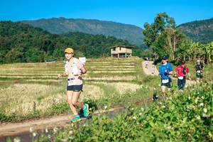 BIB: 
                            <button type="button" onclick="openModal(26719402)" class="btn btn-primary btn-sm float-right btn-popup" data-toggle="modal" data-target=".modal-high-quality">
                        <i class="fas fa-shopping-cart"></i> Add to Cart
                    </button>
                                            <button type="button" onclick="isThisMe(26719402, true)" class="btn btn-success btn-sm float-right btn-popup btn-isme hidden" data-toggle="tooltip" data-placement="bottom" title="นี่คือรูปของคุณใช่ไหม คลิกที่นี่เพื่อเอาเข้าอัลบั้ม">
                        <i class="fas fa-plus"></i> Add to album
                    </button>
                    <button type="button" onclick="isThisMe(26719402, false)" class="btn btn-warning btn-sm float-right btn-popup btn-isnotme hidden">
                        <i class="fas fa-ban"></i> Remove from album
                    </button>