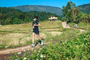 BIB: 
                            <button type="button" onclick="openModal(26718032)" class="btn btn-primary btn-sm float-right btn-popup" data-toggle="modal" data-target=".modal-high-quality">
                        <i class="fas fa-shopping-cart"></i> Add to Cart
                    </button>
                                            <button type="button" onclick="isThisMe(26718032, true)" class="btn btn-success btn-sm float-right btn-popup btn-isme hidden" data-toggle="tooltip" data-placement="bottom" title="นี่คือรูปของคุณใช่ไหม คลิกที่นี่เพื่อเอาเข้าอัลบั้ม">
                        <i class="fas fa-plus"></i> Add to album
                    </button>
                    <button type="button" onclick="isThisMe(26718032, false)" class="btn btn-warning btn-sm float-right btn-popup btn-isnotme hidden">
                        <i class="fas fa-ban"></i> Remove from album
                    </button>