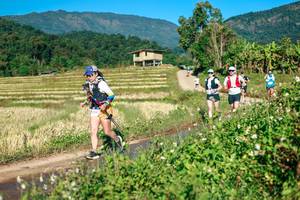 BIB: 
                            <button type="button" onclick="openModal(26719081)" class="btn btn-primary btn-sm float-right btn-popup" data-toggle="modal" data-target=".modal-high-quality">
                        <i class="fas fa-shopping-cart"></i> Add to Cart
                    </button>
                                            <button type="button" onclick="isThisMe(26719081, true)" class="btn btn-success btn-sm float-right btn-popup btn-isme hidden" data-toggle="tooltip" data-placement="bottom" title="นี่คือรูปของคุณใช่ไหม คลิกที่นี่เพื่อเอาเข้าอัลบั้ม">
                        <i class="fas fa-plus"></i> Add to album
                    </button>
                    <button type="button" onclick="isThisMe(26719081, false)" class="btn btn-warning btn-sm float-right btn-popup btn-isnotme hidden">
                        <i class="fas fa-ban"></i> Remove from album
                    </button>