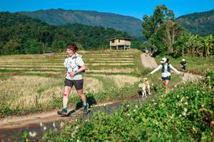 BIB: 
                            <button type="button" onclick="openModal(26718798)" class="btn btn-primary btn-sm float-right btn-popup" data-toggle="modal" data-target=".modal-high-quality">
                        <i class="fas fa-shopping-cart"></i> Add to Cart
                    </button>
                                            <button type="button" onclick="isThisMe(26718798, true)" class="btn btn-success btn-sm float-right btn-popup btn-isme hidden" data-toggle="tooltip" data-placement="bottom" title="นี่คือรูปของคุณใช่ไหม คลิกที่นี่เพื่อเอาเข้าอัลบั้ม">
                        <i class="fas fa-plus"></i> Add to album
                    </button>
                    <button type="button" onclick="isThisMe(26718798, false)" class="btn btn-warning btn-sm float-right btn-popup btn-isnotme hidden">
                        <i class="fas fa-ban"></i> Remove from album
                    </button>