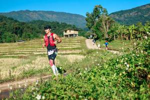 BIB: 
                            <button type="button" onclick="openModal(26718613)" class="btn btn-primary btn-sm float-right btn-popup" data-toggle="modal" data-target=".modal-high-quality">
                        <i class="fas fa-shopping-cart"></i> Add to Cart
                    </button>
                                            <button type="button" onclick="isThisMe(26718613, true)" class="btn btn-success btn-sm float-right btn-popup btn-isme hidden" data-toggle="tooltip" data-placement="bottom" title="นี่คือรูปของคุณใช่ไหม คลิกที่นี่เพื่อเอาเข้าอัลบั้ม">
                        <i class="fas fa-plus"></i> Add to album
                    </button>
                    <button type="button" onclick="isThisMe(26718613, false)" class="btn btn-warning btn-sm float-right btn-popup btn-isnotme hidden">
                        <i class="fas fa-ban"></i> Remove from album
                    </button>