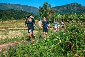 BIB: 
                            <button type="button" onclick="openModal(26718894)" class="btn btn-primary btn-sm float-right btn-popup" data-toggle="modal" data-target=".modal-high-quality">
                        <i class="fas fa-shopping-cart"></i> Add to Cart
                    </button>
                                            <button type="button" onclick="isThisMe(26718894, true)" class="btn btn-success btn-sm float-right btn-popup btn-isme hidden" data-toggle="tooltip" data-placement="bottom" title="นี่คือรูปของคุณใช่ไหม คลิกที่นี่เพื่อเอาเข้าอัลบั้ม">
                        <i class="fas fa-plus"></i> Add to album
                    </button>
                    <button type="button" onclick="isThisMe(26718894, false)" class="btn btn-warning btn-sm float-right btn-popup btn-isnotme hidden">
                        <i class="fas fa-ban"></i> Remove from album
                    </button>