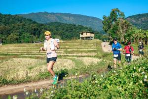 BIB: 
                            <button type="button" onclick="openModal(26719405)" class="btn btn-primary btn-sm float-right btn-popup" data-toggle="modal" data-target=".modal-high-quality">
                        <i class="fas fa-shopping-cart"></i> Add to Cart
                    </button>
                                            <button type="button" onclick="isThisMe(26719405, true)" class="btn btn-success btn-sm float-right btn-popup btn-isme hidden" data-toggle="tooltip" data-placement="bottom" title="นี่คือรูปของคุณใช่ไหม คลิกที่นี่เพื่อเอาเข้าอัลบั้ม">
                        <i class="fas fa-plus"></i> Add to album
                    </button>
                    <button type="button" onclick="isThisMe(26719405, false)" class="btn btn-warning btn-sm float-right btn-popup btn-isnotme hidden">
                        <i class="fas fa-ban"></i> Remove from album
                    </button>