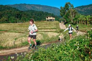 BIB: 
                            <button type="button" onclick="openModal(26718802)" class="btn btn-primary btn-sm float-right btn-popup" data-toggle="modal" data-target=".modal-high-quality">
                        <i class="fas fa-shopping-cart"></i> Add to Cart
                    </button>
                                            <button type="button" onclick="isThisMe(26718802, true)" class="btn btn-success btn-sm float-right btn-popup btn-isme hidden" data-toggle="tooltip" data-placement="bottom" title="นี่คือรูปของคุณใช่ไหม คลิกที่นี่เพื่อเอาเข้าอัลบั้ม">
                        <i class="fas fa-plus"></i> Add to album
                    </button>
                    <button type="button" onclick="isThisMe(26718802, false)" class="btn btn-warning btn-sm float-right btn-popup btn-isnotme hidden">
                        <i class="fas fa-ban"></i> Remove from album
                    </button>