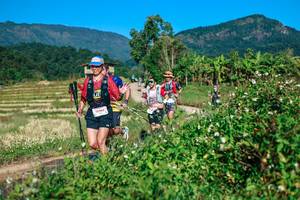 BIB: 
                            <button type="button" onclick="openModal(26719879)" class="btn btn-primary btn-sm float-right btn-popup" data-toggle="modal" data-target=".modal-high-quality">
                        <i class="fas fa-shopping-cart"></i> Add to Cart
                    </button>
                                            <button type="button" onclick="isThisMe(26719879, true)" class="btn btn-success btn-sm float-right btn-popup btn-isme hidden" data-toggle="tooltip" data-placement="bottom" title="นี่คือรูปของคุณใช่ไหม คลิกที่นี่เพื่อเอาเข้าอัลบั้ม">
                        <i class="fas fa-plus"></i> Add to album
                    </button>
                    <button type="button" onclick="isThisMe(26719879, false)" class="btn btn-warning btn-sm float-right btn-popup btn-isnotme hidden">
                        <i class="fas fa-ban"></i> Remove from album
                    </button>