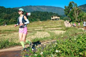 BIB: 
                            <button type="button" onclick="openModal(26726560)" class="btn btn-primary btn-sm float-right btn-popup" data-toggle="modal" data-target=".modal-high-quality">
                        <i class="fas fa-shopping-cart"></i> Add to Cart
                    </button>
                                            <button type="button" onclick="isThisMe(26726560, true)" class="btn btn-success btn-sm float-right btn-popup btn-isme hidden" data-toggle="tooltip" data-placement="bottom" title="นี่คือรูปของคุณใช่ไหม คลิกที่นี่เพื่อเอาเข้าอัลบั้ม">
                        <i class="fas fa-plus"></i> Add to album
                    </button>
                    <button type="button" onclick="isThisMe(26726560, false)" class="btn btn-warning btn-sm float-right btn-popup btn-isnotme hidden">
                        <i class="fas fa-ban"></i> Remove from album
                    </button>