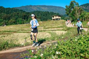 BIB: 
                            <button type="button" onclick="openModal(26726475)" class="btn btn-primary btn-sm float-right btn-popup" data-toggle="modal" data-target=".modal-high-quality">
                        <i class="fas fa-shopping-cart"></i> Add to Cart
                    </button>
                                            <button type="button" onclick="isThisMe(26726475, true)" class="btn btn-success btn-sm float-right btn-popup btn-isme hidden" data-toggle="tooltip" data-placement="bottom" title="นี่คือรูปของคุณใช่ไหม คลิกที่นี่เพื่อเอาเข้าอัลบั้ม">
                        <i class="fas fa-plus"></i> Add to album
                    </button>
                    <button type="button" onclick="isThisMe(26726475, false)" class="btn btn-warning btn-sm float-right btn-popup btn-isnotme hidden">
                        <i class="fas fa-ban"></i> Remove from album
                    </button>