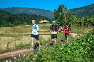 BIB: 
                            <button type="button" onclick="openModal(26725175)" class="btn btn-primary btn-sm float-right btn-popup" data-toggle="modal" data-target=".modal-high-quality">
                        <i class="fas fa-shopping-cart"></i> Add to Cart
                    </button>
                                            <button type="button" onclick="isThisMe(26725175, true)" class="btn btn-success btn-sm float-right btn-popup btn-isme hidden" data-toggle="tooltip" data-placement="bottom" title="นี่คือรูปของคุณใช่ไหม คลิกที่นี่เพื่อเอาเข้าอัลบั้ม">
                        <i class="fas fa-plus"></i> Add to album
                    </button>
                    <button type="button" onclick="isThisMe(26725175, false)" class="btn btn-warning btn-sm float-right btn-popup btn-isnotme hidden">
                        <i class="fas fa-ban"></i> Remove from album
                    </button>