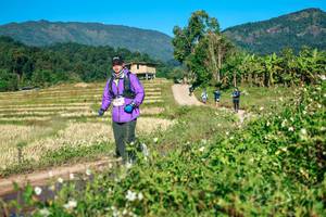 BIB: 
                            <button type="button" onclick="openModal(26726173)" class="btn btn-primary btn-sm float-right btn-popup" data-toggle="modal" data-target=".modal-high-quality">
                        <i class="fas fa-shopping-cart"></i> Add to Cart
                    </button>
                                            <button type="button" onclick="isThisMe(26726173, true)" class="btn btn-success btn-sm float-right btn-popup btn-isme hidden" data-toggle="tooltip" data-placement="bottom" title="นี่คือรูปของคุณใช่ไหม คลิกที่นี่เพื่อเอาเข้าอัลบั้ม">
                        <i class="fas fa-plus"></i> Add to album
                    </button>
                    <button type="button" onclick="isThisMe(26726173, false)" class="btn btn-warning btn-sm float-right btn-popup btn-isnotme hidden">
                        <i class="fas fa-ban"></i> Remove from album
                    </button>