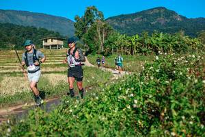 BIB: 
                            <button type="button" onclick="openModal(26723701)" class="btn btn-primary btn-sm float-right btn-popup" data-toggle="modal" data-target=".modal-high-quality">
                        <i class="fas fa-shopping-cart"></i> Add to Cart
                    </button>
                                            <button type="button" onclick="isThisMe(26723701, true)" class="btn btn-success btn-sm float-right btn-popup btn-isme hidden" data-toggle="tooltip" data-placement="bottom" title="นี่คือรูปของคุณใช่ไหม คลิกที่นี่เพื่อเอาเข้าอัลบั้ม">
                        <i class="fas fa-plus"></i> Add to album
                    </button>
                    <button type="button" onclick="isThisMe(26723701, false)" class="btn btn-warning btn-sm float-right btn-popup btn-isnotme hidden">
                        <i class="fas fa-ban"></i> Remove from album
                    </button>