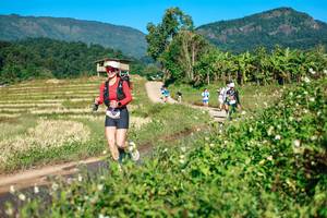 BIB: 
                            <button type="button" onclick="openModal(26725808)" class="btn btn-primary btn-sm float-right btn-popup" data-toggle="modal" data-target=".modal-high-quality">
                        <i class="fas fa-shopping-cart"></i> Add to Cart
                    </button>
                                            <button type="button" onclick="isThisMe(26725808, true)" class="btn btn-success btn-sm float-right btn-popup btn-isme hidden" data-toggle="tooltip" data-placement="bottom" title="นี่คือรูปของคุณใช่ไหม คลิกที่นี่เพื่อเอาเข้าอัลบั้ม">
                        <i class="fas fa-plus"></i> Add to album
                    </button>
                    <button type="button" onclick="isThisMe(26725808, false)" class="btn btn-warning btn-sm float-right btn-popup btn-isnotme hidden">
                        <i class="fas fa-ban"></i> Remove from album
                    </button>