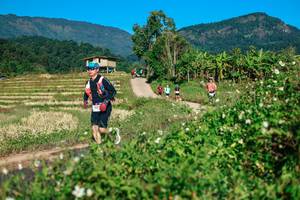 BIB: 
                            <button type="button" onclick="openModal(26725067)" class="btn btn-primary btn-sm float-right btn-popup" data-toggle="modal" data-target=".modal-high-quality">
                        <i class="fas fa-shopping-cart"></i> Add to Cart
                    </button>
                                            <button type="button" onclick="isThisMe(26725067, true)" class="btn btn-success btn-sm float-right btn-popup btn-isme hidden" data-toggle="tooltip" data-placement="bottom" title="นี่คือรูปของคุณใช่ไหม คลิกที่นี่เพื่อเอาเข้าอัลบั้ม">
                        <i class="fas fa-plus"></i> Add to album
                    </button>
                    <button type="button" onclick="isThisMe(26725067, false)" class="btn btn-warning btn-sm float-right btn-popup btn-isnotme hidden">
                        <i class="fas fa-ban"></i> Remove from album
                    </button>