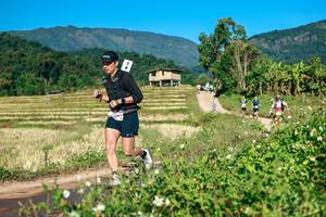 BIB: 
                            <button type="button" onclick="openModal(26726335)" class="btn btn-primary btn-sm float-right btn-popup" data-toggle="modal" data-target=".modal-high-quality">
                        <i class="fas fa-shopping-cart"></i> Add to Cart
                    </button>
                                            <button type="button" onclick="isThisMe(26726335, true)" class="btn btn-success btn-sm float-right btn-popup btn-isme hidden" data-toggle="tooltip" data-placement="bottom" title="นี่คือรูปของคุณใช่ไหม คลิกที่นี่เพื่อเอาเข้าอัลบั้ม">
                        <i class="fas fa-plus"></i> Add to album
                    </button>
                    <button type="button" onclick="isThisMe(26726335, false)" class="btn btn-warning btn-sm float-right btn-popup btn-isnotme hidden">
                        <i class="fas fa-ban"></i> Remove from album
                    </button>