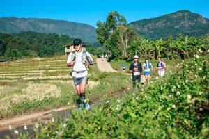 BIB: 
                            <button type="button" onclick="openModal(26725839)" class="btn btn-primary btn-sm float-right btn-popup" data-toggle="modal" data-target=".modal-high-quality">
                        <i class="fas fa-shopping-cart"></i> Add to Cart
                    </button>
                                            <button type="button" onclick="isThisMe(26725839, true)" class="btn btn-success btn-sm float-right btn-popup btn-isme hidden" data-toggle="tooltip" data-placement="bottom" title="นี่คือรูปของคุณใช่ไหม คลิกที่นี่เพื่อเอาเข้าอัลบั้ม">
                        <i class="fas fa-plus"></i> Add to album
                    </button>
                    <button type="button" onclick="isThisMe(26725839, false)" class="btn btn-warning btn-sm float-right btn-popup btn-isnotme hidden">
                        <i class="fas fa-ban"></i> Remove from album
                    </button>