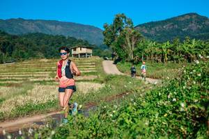 BIB: 
                            <button type="button" onclick="openModal(26724262)" class="btn btn-primary btn-sm float-right btn-popup" data-toggle="modal" data-target=".modal-high-quality">
                        <i class="fas fa-shopping-cart"></i> Add to Cart
                    </button>
                                            <button type="button" onclick="isThisMe(26724262, true)" class="btn btn-success btn-sm float-right btn-popup btn-isme hidden" data-toggle="tooltip" data-placement="bottom" title="นี่คือรูปของคุณใช่ไหม คลิกที่นี่เพื่อเอาเข้าอัลบั้ม">
                        <i class="fas fa-plus"></i> Add to album
                    </button>
                    <button type="button" onclick="isThisMe(26724262, false)" class="btn btn-warning btn-sm float-right btn-popup btn-isnotme hidden">
                        <i class="fas fa-ban"></i> Remove from album
                    </button>