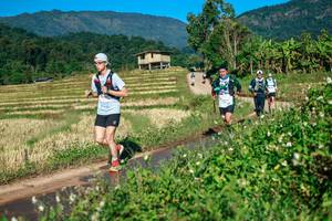 BIB: 
                            <button type="button" onclick="openModal(26723505)" class="btn btn-primary btn-sm float-right btn-popup" data-toggle="modal" data-target=".modal-high-quality">
                        <i class="fas fa-shopping-cart"></i> Add to Cart
                    </button>
                                            <button type="button" onclick="isThisMe(26723505, true)" class="btn btn-success btn-sm float-right btn-popup btn-isme hidden" data-toggle="tooltip" data-placement="bottom" title="นี่คือรูปของคุณใช่ไหม คลิกที่นี่เพื่อเอาเข้าอัลบั้ม">
                        <i class="fas fa-plus"></i> Add to album
                    </button>
                    <button type="button" onclick="isThisMe(26723505, false)" class="btn btn-warning btn-sm float-right btn-popup btn-isnotme hidden">
                        <i class="fas fa-ban"></i> Remove from album
                    </button>