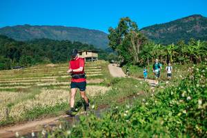 BIB: 
                            <button type="button" onclick="openModal(26725269)" class="btn btn-primary btn-sm float-right btn-popup" data-toggle="modal" data-target=".modal-high-quality">
                        <i class="fas fa-shopping-cart"></i> Add to Cart
                    </button>
                                            <button type="button" onclick="isThisMe(26725269, true)" class="btn btn-success btn-sm float-right btn-popup btn-isme hidden" data-toggle="tooltip" data-placement="bottom" title="นี่คือรูปของคุณใช่ไหม คลิกที่นี่เพื่อเอาเข้าอัลบั้ม">
                        <i class="fas fa-plus"></i> Add to album
                    </button>
                    <button type="button" onclick="isThisMe(26725269, false)" class="btn btn-warning btn-sm float-right btn-popup btn-isnotme hidden">
                        <i class="fas fa-ban"></i> Remove from album
                    </button>